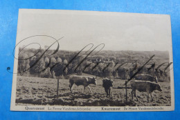 Kwaremont Quaremont Ferme Hoeve Boerderij Vandemeuilebroecke - Kluisbergen