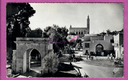 CPSM ALGERIE - LAGHOUAT - 556.  Le Monument Aux Morts Et La Mosquée Animé Dans La Rue - Laghouat