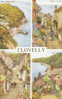 Postcard Clovelly North Devon My Ref B14867 - Clovelly