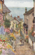 Postcard Down A Long Clovelly North Devon My Ref B14868 - Clovelly