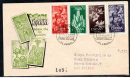 1962 Nice Letter With Cactus  (es015) - Sahara Spagnolo