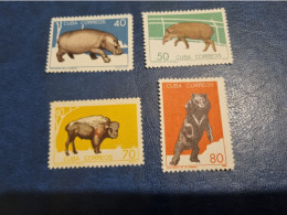 CUBA  NEUF  1964   ZOOLOGICO  DE  LA  HABANA  //  PARFAIT  ETAT  // Sans Gomme - Unused Stamps