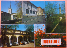 CARTE MONTLUEL - 01 - VUES DIVERSES - SCAN RECTO/VERSO - 5 - Montluel