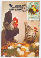 MAX 20 - 1008 COCK, Romania - Maximum Card - 1988 - Gallináceos & Faisanes