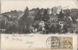 SUISSE GRUSS AUS BINNINGEN 1904 - Binningen