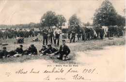 Armée Suisse,Bière, Troupes De Cavalerie/ C. Précurseur, Biere 31.XII.00 - Bière