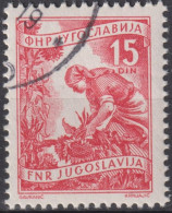 1953 Jugoslawien ° Mi:YU 723II, Yt:YU 606, Offsetdruck, Farmwoman Harvesting Sunflowers, Bäuerin Pflückt Sonnenblume - Used Stamps