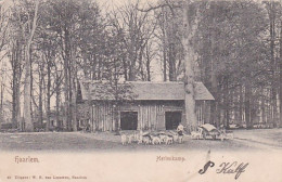 1889	16	Haarlem, Hertenkamp (poststempel 1904) - Haarlem