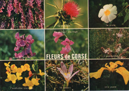 CPM - R - CORSE - FLEURS DE CORSE - CISTE - CHARDON - POIS DE SENTEUR - GLAIEUL SAUVAGE - ASPHODELE - CROCUS - IRIS - Corse