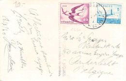 TURKEY - PICTURE POSTCARD 1960 - ANDERLECHT/BE  / 6053 - Briefe U. Dokumente