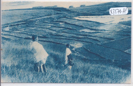 MADAGASCAR- RIZIERES SUR LES HAUTS PLATEAUX - Madagascar