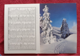 Calendrier 1985 Editions Maison De La Presse Levy 57150 Creutzwald - Small : 1981-90