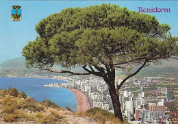 AK 203648 SPAIN - Benidorm - Andere & Zonder Classificatie