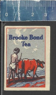 BROOKE BOND TEA ( THEE ) -  OLD MATCHBOX LABEL MADE IN BELGIUM - Boites D'allumettes - Etiquettes