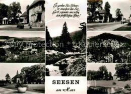 72792616 Seesen Harz Kurpark Teich Brunnen Panorama  Seesen - Seesen