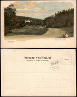 Postcard Montreal Mount Royal Park. 1908 - Montreal