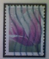 United States, Scott #5785, Used(o), 2023, Tulip Blossom, (63¢), Multicolored - Usati