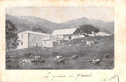 Nouvelle Calédonie - Ferme école De Yahoué - Environs De Noumea -  Carte Postale Ancienne - Nouvelle-Calédonie