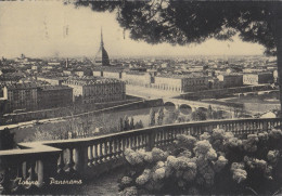 Cartolina Torino - Panorama - Panoramische Zichten, Meerdere Zichten