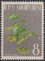 1962 Albanien * Mi:AL 655A, Sn:AL 614, Yt:AL 574, Silber Linden / Silver Linden (Tilia Tomentosa), Heilpflanzen - Plantes Médicinales