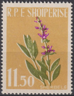 1962 Albanien * Mi:AL 656A, Sn:AL 615, Yt:AL 575, Common Sage (Salvia Officinalis), Heilpflanzen - Geneeskrachtige Planten