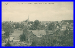 * CHATEAUMEILLANT - Vue Générale - Eglise - 211 - Edit. E.M.B. - 1931 - Châteaumeillant