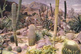 Royal Botanic Garden, Kew - Cactus - Cactusses