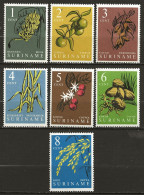 SURINAM: **, N° YT 342 à 347, Série, TB - Suriname ... - 1975