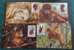 Indonesien WWF 1291 -94 Orang Utan   #cover5714 - Indonésie