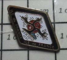 1110 Pin's Pins / Beau Et Rare / SPORTS / AIKIDO ILE DE FRANCE FFAI - Judo