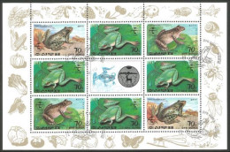 Korea Frogs Grenouilles Ranas Frösche (A50-263b) - Grenouilles