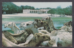 127381/ TOMBOUCTOU, Une Vue De L'hôtel - Mali