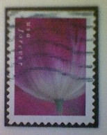 United States, Scott #5781, Used(o), 2023, Tulip Blossom, (63¢), Multicolored - Oblitérés