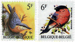 84914 MNH BELGICA 1988 AVES - Other & Unclassified