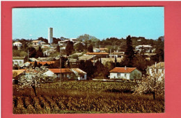 AIGUES VIVES QUARTIER DE GARIGOUILLE CARTE EN TRES BON ETAT - Aigues-Vives