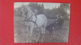 Horse -drawn Carriage Ride.Feldpost 1.world War.Reserve Spital Zagreb - Croatie
