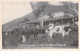 Nouvelle Calédonie  - New Caledonia - Voiture A Boeufs - Bullock Cart - Carte Postale Ancienne - Neukaledonien