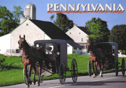 ARCHITECTURE, AMISH, CARRIAGE, HORSE, PENNSYLVANIA, UNITED STATES, POSTCARD - Sonstige & Ohne Zuordnung