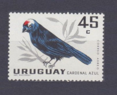 1962 Uruguay 943 Birds - Segler & Kolibris