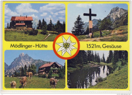 GAISHORN - MÖDLINGER - HÜTTE Im Gesäuse, Mehrbildkarte, Tierhaltung Auf Der Alm - Gesäuse