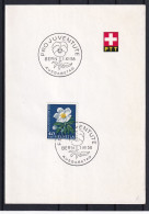 Pro Juventute Zumst. 177 / Mi. 667 Schweiz 1958 - Christrose (Helleborus Niger) - PTT Faltblatt ET-Sonderstempel - Brieven En Documenten