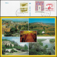 Hongrie 1997. Entier Postal, Région Et Cave De Tokaj (Tokay). Tonneaux De Vin - Vinos Y Alcoholes