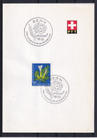 Pro Juventute Zumst. 187 / Mi. 726 Schweiz 1960 - Gemeiner Stechapfel - PTT Faltblatt ET-Sonderstempel - Lettres & Documents