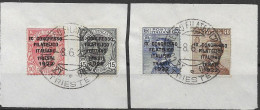 Italy Red Cross Set On Fragments VFU 900 Euros 1922 - Reclame