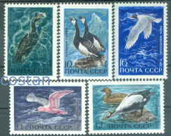 1972 Seabird,Ross's Gull,barnacle Goose,spectacled Eider,cormorant,Russia3974MNH - Meeuwen