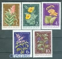 1972 Medicinal Plants,krantz Aloe,sea Poppy,poroporo,Orthosiphon,Russia,3988,MNH - Plantas Medicinales