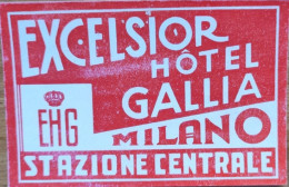 Itay Milano Excelsior Hotel Label Etiquette Valise - Etiquettes D'hotels