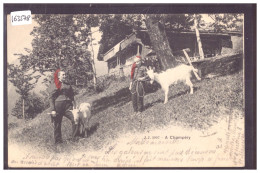 PAYSANNES DE CHAMPERY - COSTUME - TB - Champéry