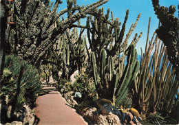 PRINCIPAUTE DE MONACO - LE JARDIN EXOTIQUE DOMINANT LA MEDITERRANEE - Giardino Esotico