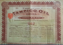 Tampico Oil Ltd - 1919 - London - Share Warrant To Bearer For 50 B-shares - Petrolio